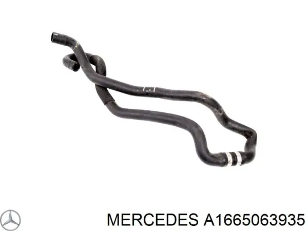  A1665063935 Mercedes