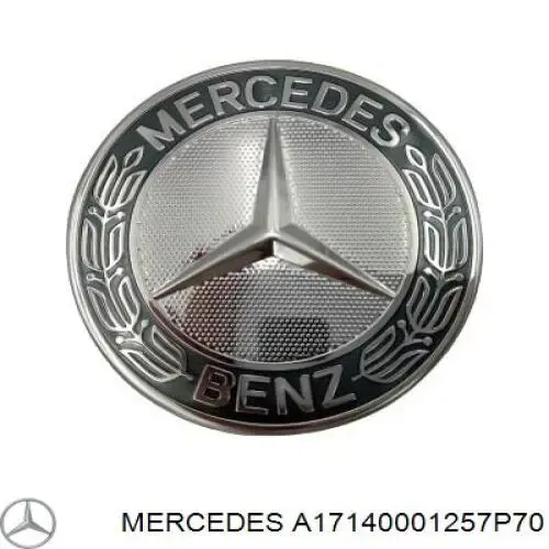  A17140001257P70 Mercedes