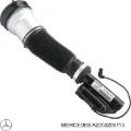 Амортизатор передній Mercedes S W220