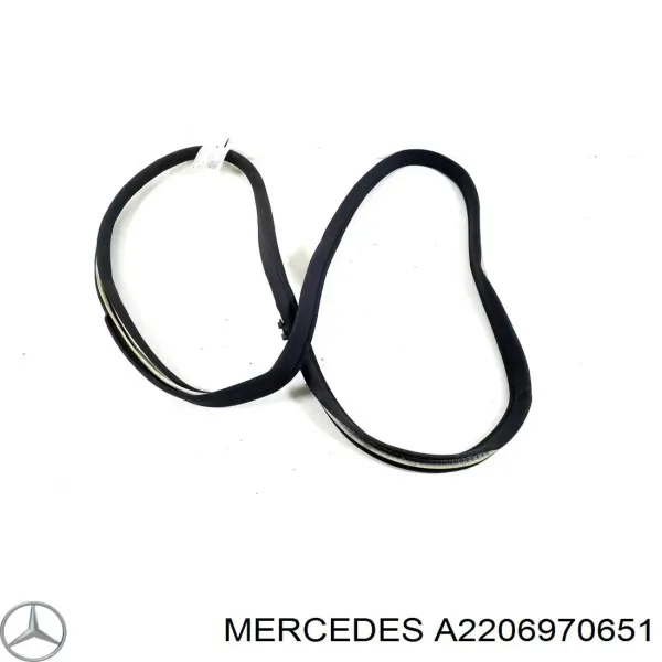 Ущільнювач двері передньої правої (на кузові) A2206970651 Mercedes