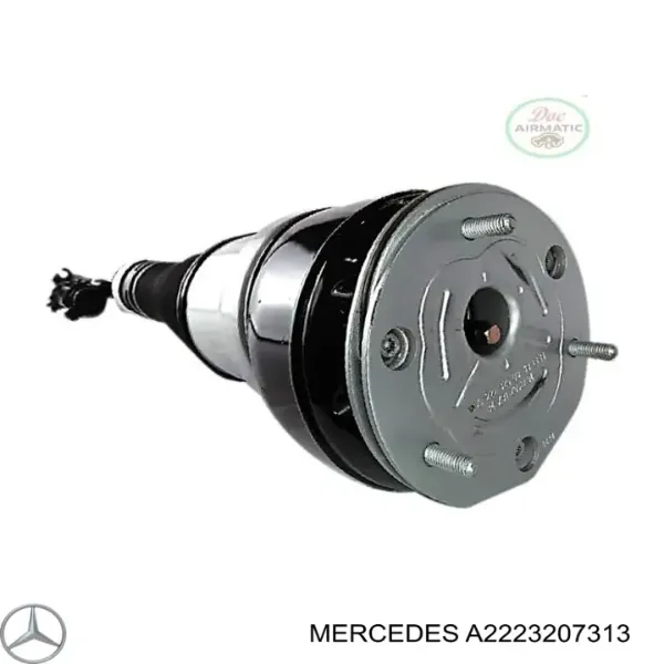 Амортизатор задній, лівий A2223207313 Mercedes