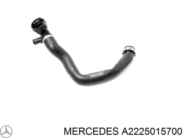  A2225015700 Mercedes