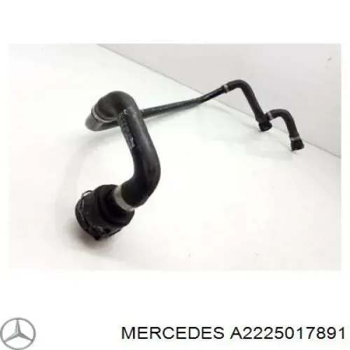  A2225017891 Mercedes