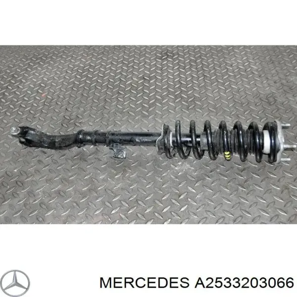  A2533203066 Mercedes