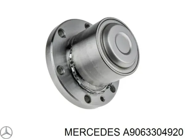 Цапфа - поворотний кулак передній, лівий A9063304920 Mercedes