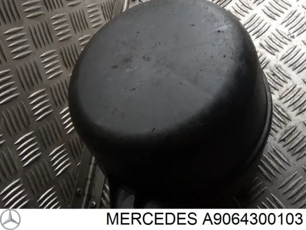 Бачок/демпфер вакуумної системи двигуна A9064300103 VAG