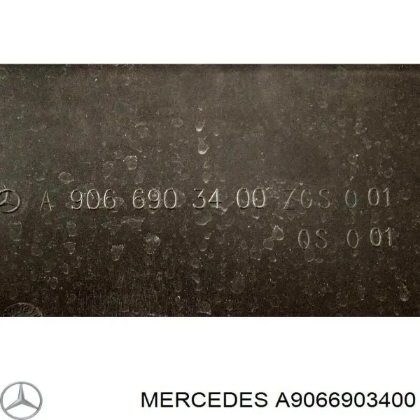 Накладка заднього лівого крила A9066903400 Mercedes