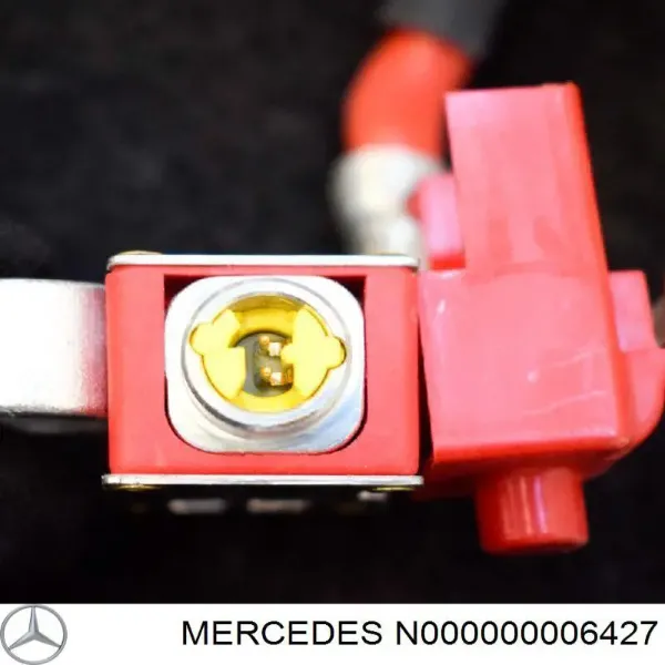  N000000006427 Mercedes