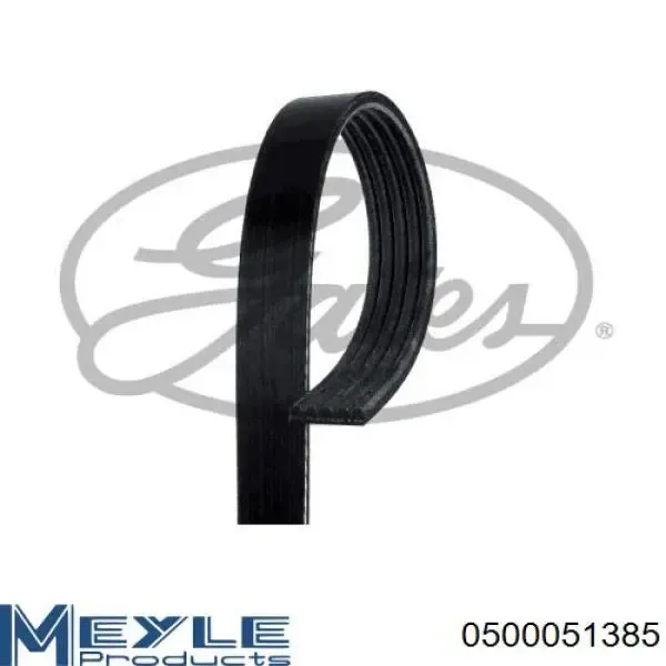 Ремінь генератора DY5PK1388 Dayco