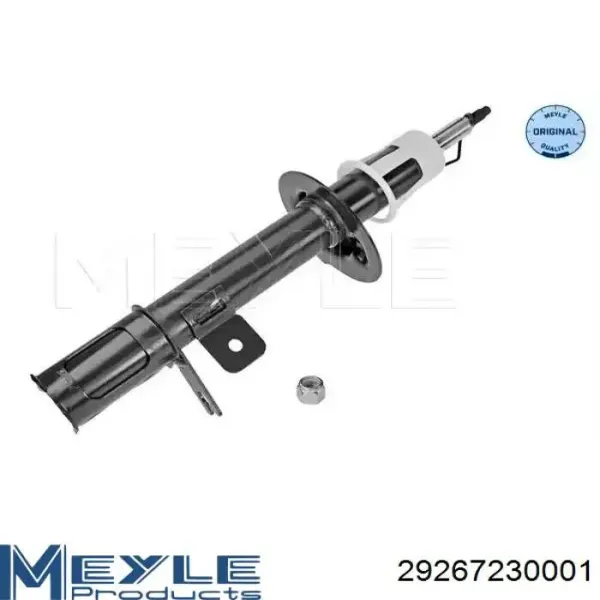 Амортизатор задній, правий 30H82A Boge