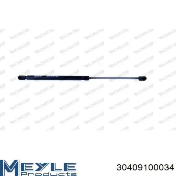 Амортизатор багажника GS0842 Magneti Marelli