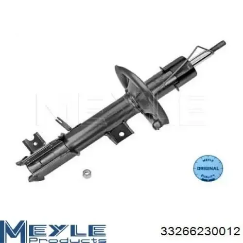 Амортизатора передній лівий RS312819 Raiso