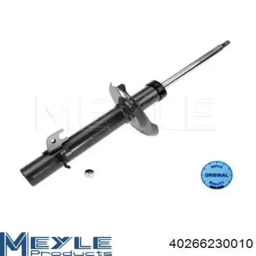 Амортизатора передній лівий RS314630 Raiso