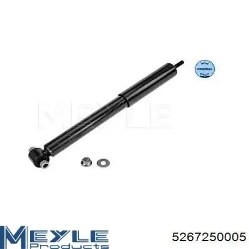 Амортизатор задній RS317339 Raiso