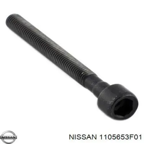  1105653F01 Nissan/Infiniti