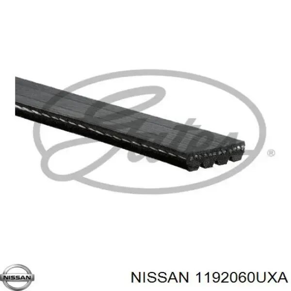 Ремінь генератора 1192060UXA Nissan/Infiniti