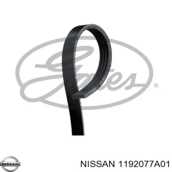 Ремінь генератора 1192077A01 Nissan/Infiniti