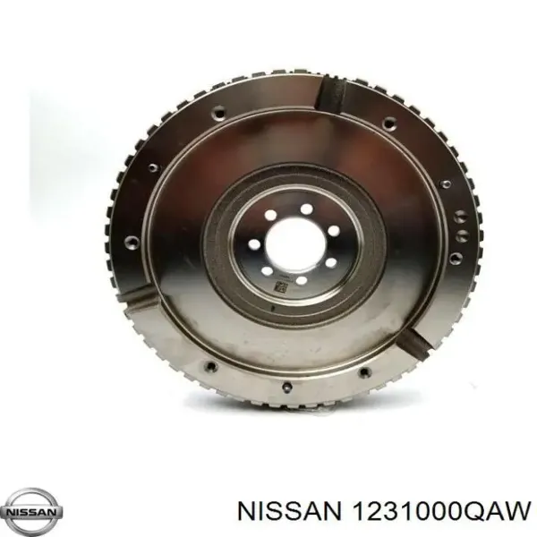 nissan-1231000qaw-
