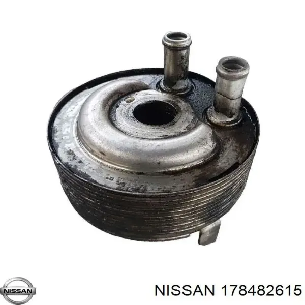  178482615 Nissan/Infiniti