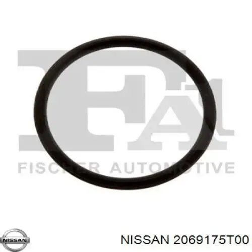  2069175T00 Nissan/Infiniti