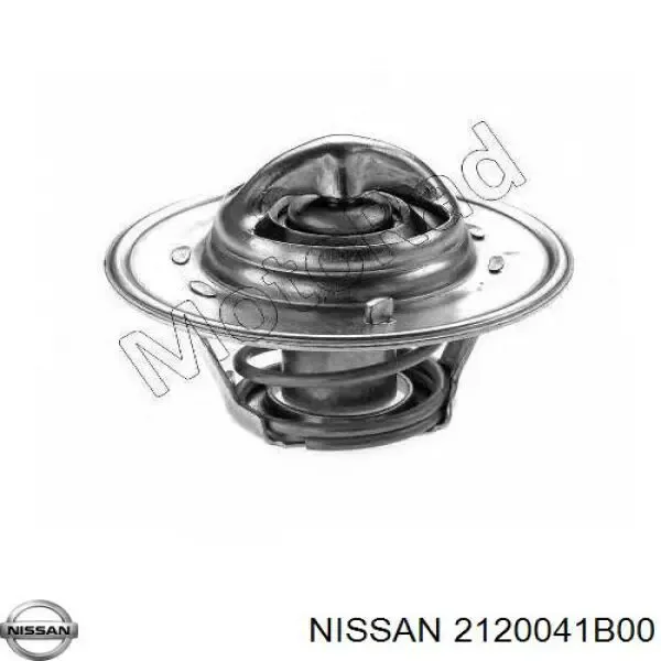  2120041B00 Nissan/Infiniti