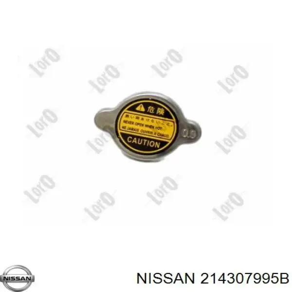  214307995B Nissan/Infiniti