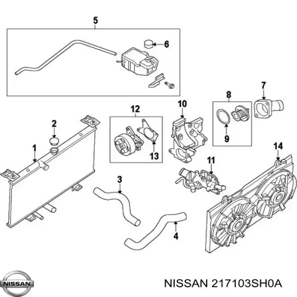 Бачок системи охолодження 217103SH0A Nissan/Infiniti