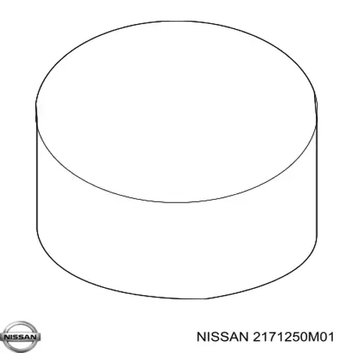 Купити Кришка розширювального бачка Nissan Sunny III N14