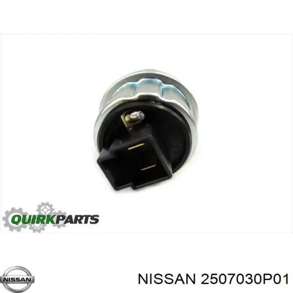  2507030P01 Nissan/Infiniti