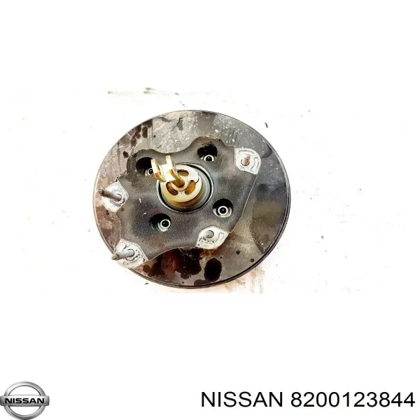  8200123844 Nissan/Infiniti