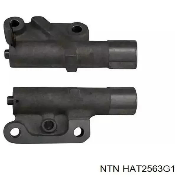  HAT2563G1 NTN