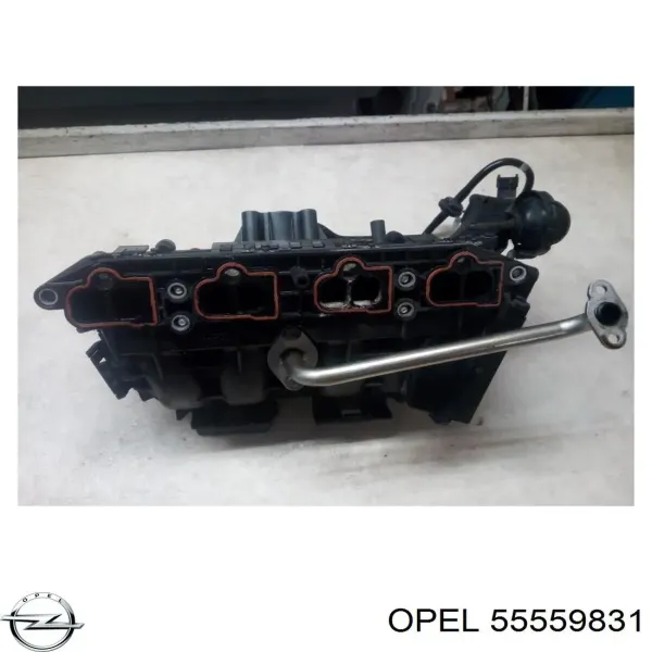  55559831 Opel