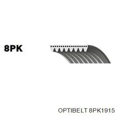 Ремінь генератора 8PK1915 Optibelt