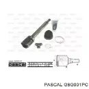 Внутренний шрус PASCAL G8G001PC Внутренний шрус PASCAL G8G001PC
