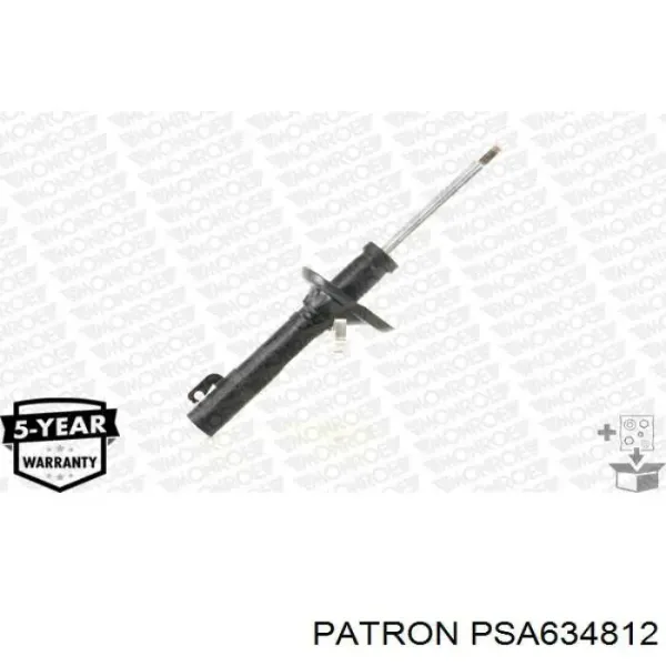 Амортизатор передній RS315087 Raiso