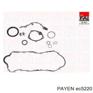 EC5220 PAYEN