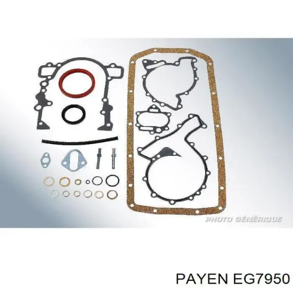 Комплект прокладок двигуна, нижній EG7950 Payen