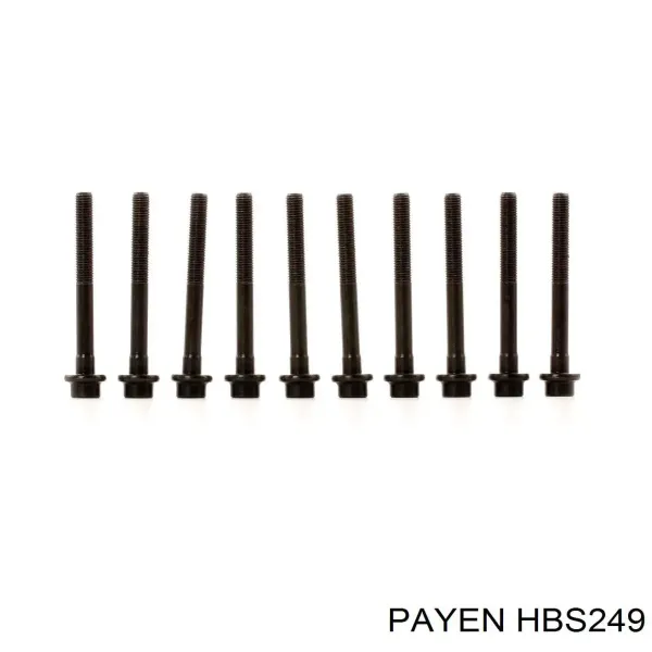 Болт ГБЦ HBS249 Payen