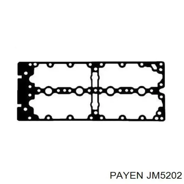 Прокладка клапанної кришки JM5202 Payen