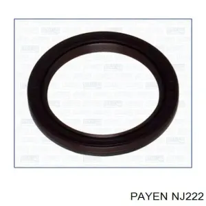 NJ222 PAYEN