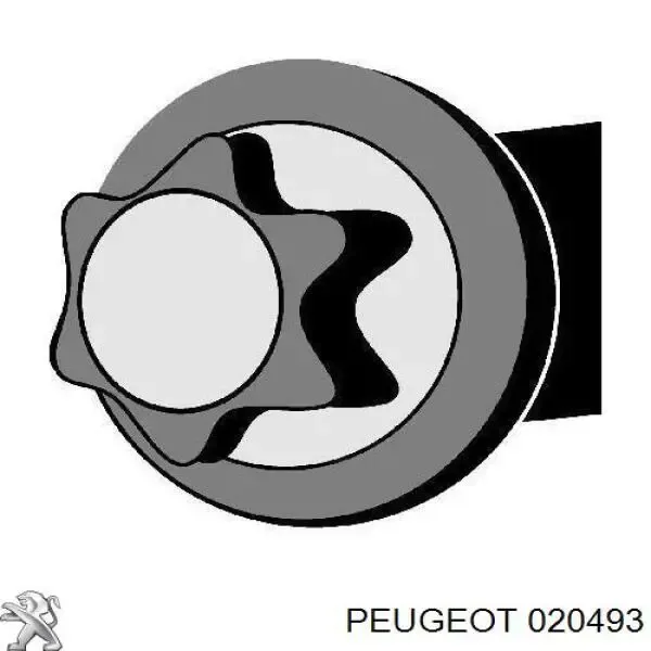 Болт ГБЦ 020493 Peugeot/Citroen