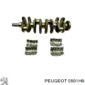 Колінвал PEUGEOT 00000501H9