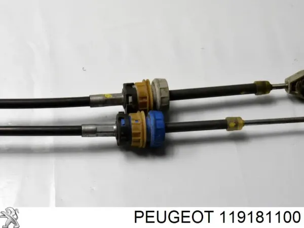  119181100 Peugeot/Citroen