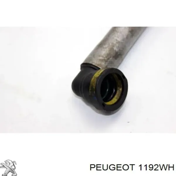 Патрубок вентиляції картера 1192WH Peugeot/Citroen