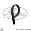 Ремінь генератора PEUGEOT 128025
