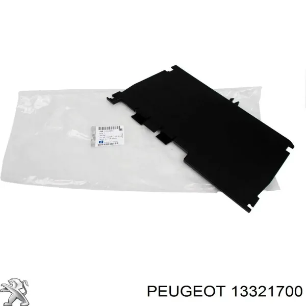  13321700 Peugeot/Citroen