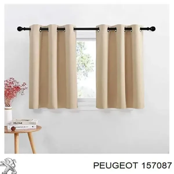  157087 Peugeot/Citroen