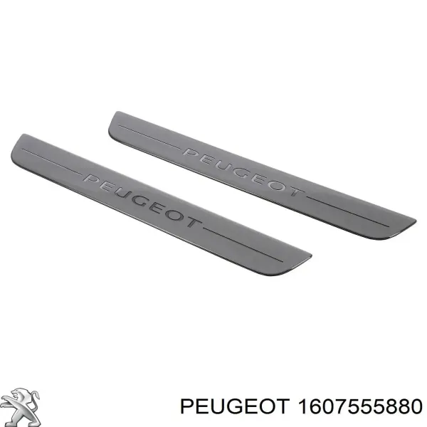  1607555880 Peugeot/Citroen