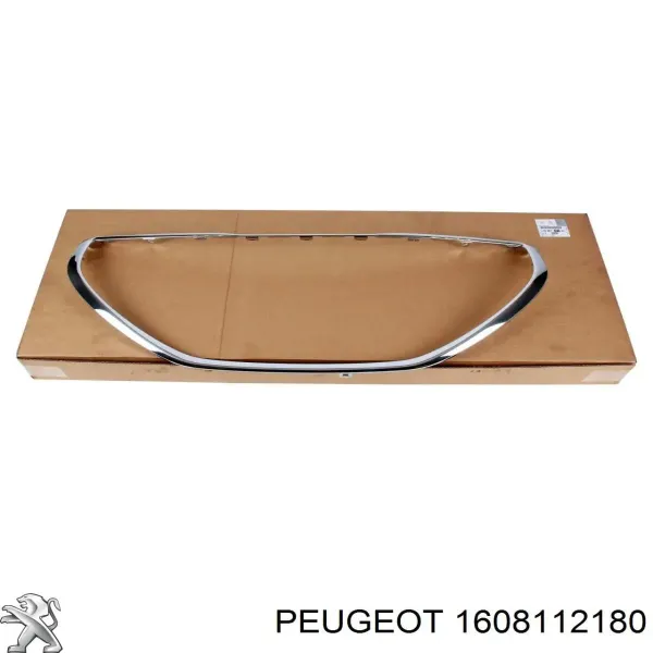 Накладка (рамка) решітки радіатора 57B12710 Polcar