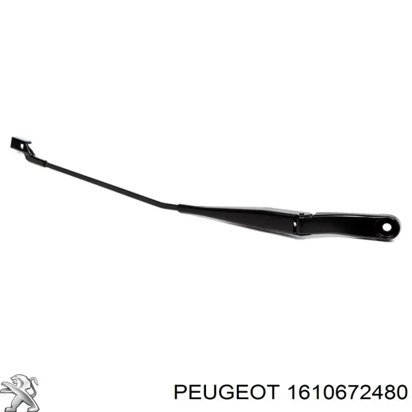  1610672480 Peugeot/Citroen